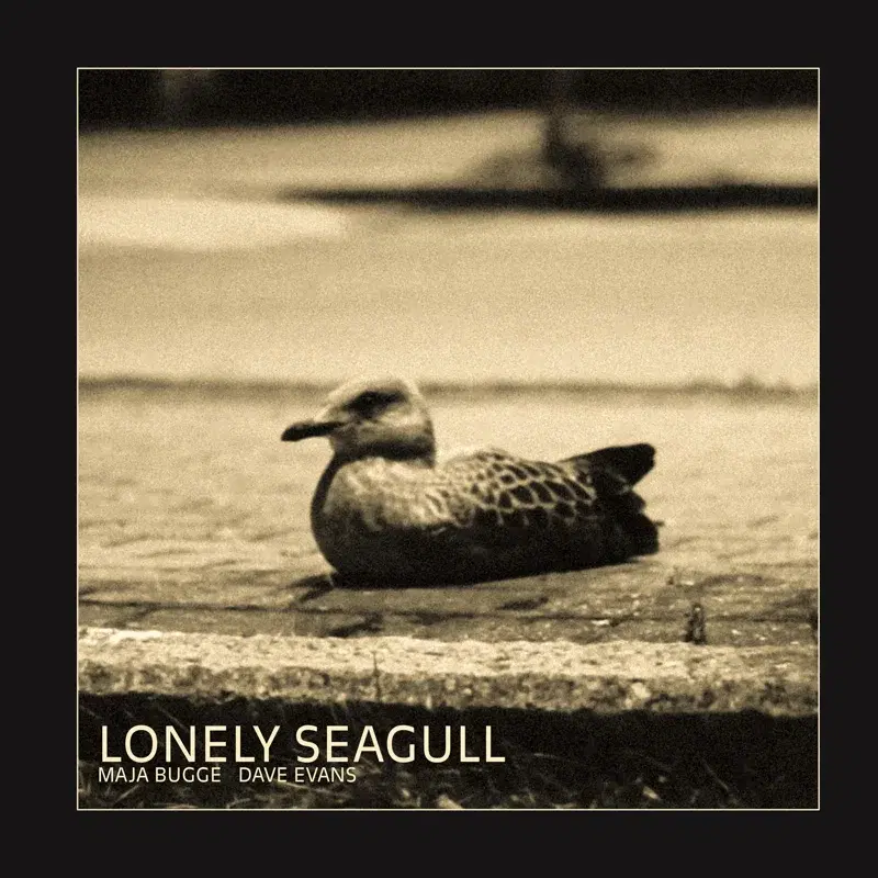Lonely Seagull
