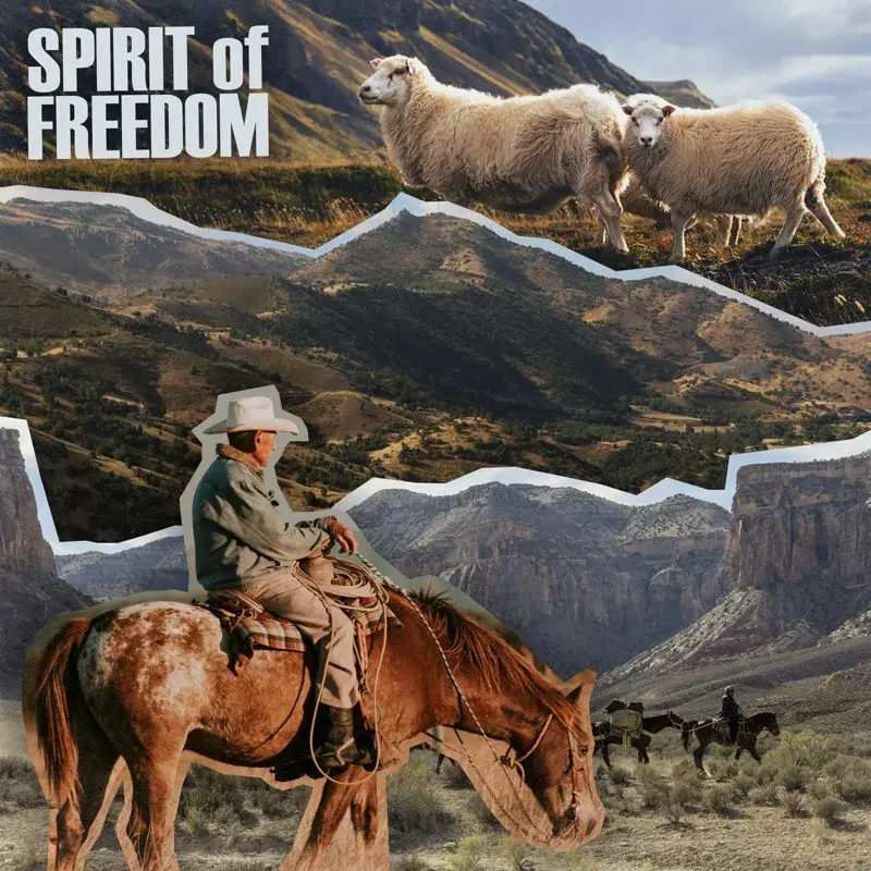 spirit of freedom