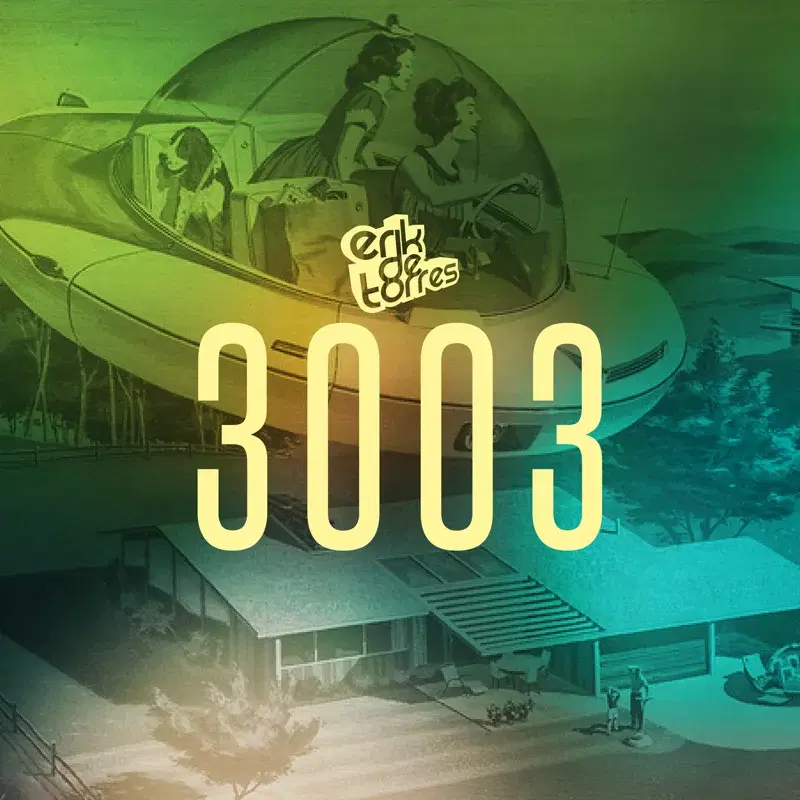 3003