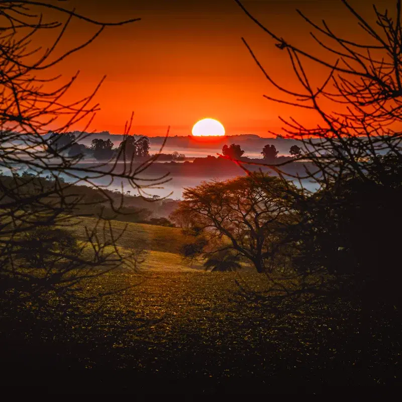 DESPERTAR