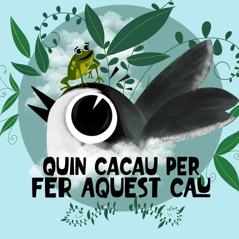 Quin cacau per fer aquest cau