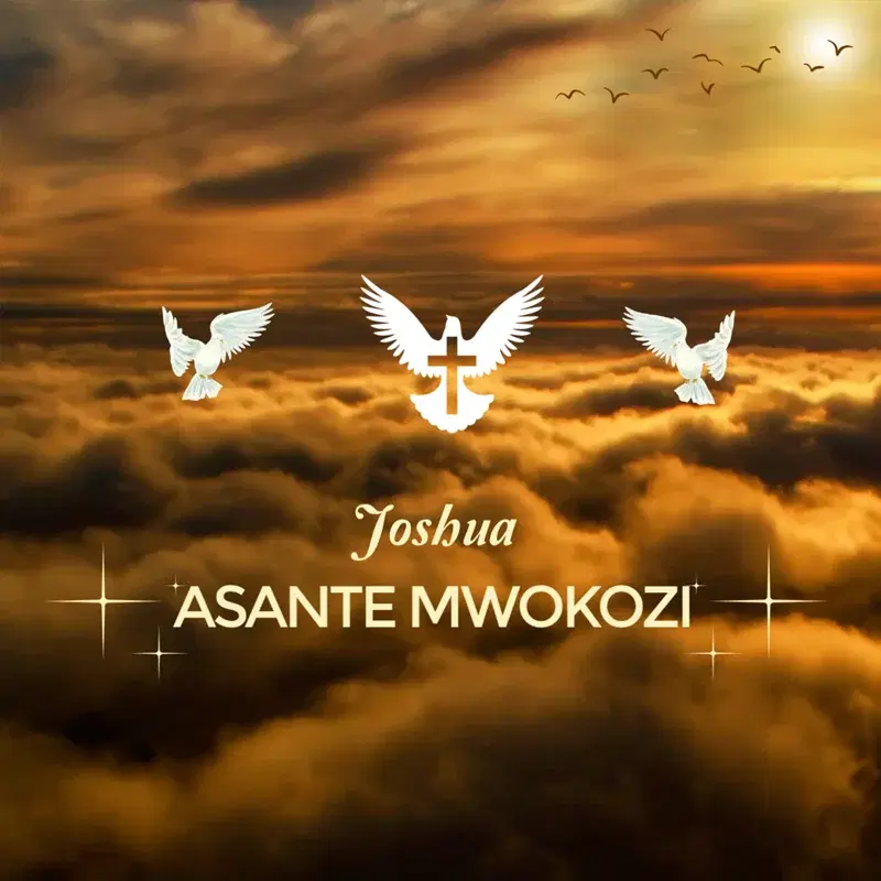 Asante Mwokozi