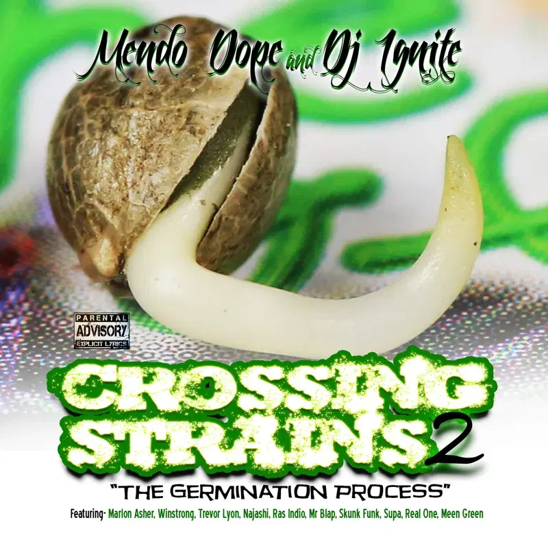 Crossing Strains 2: The Germination Process