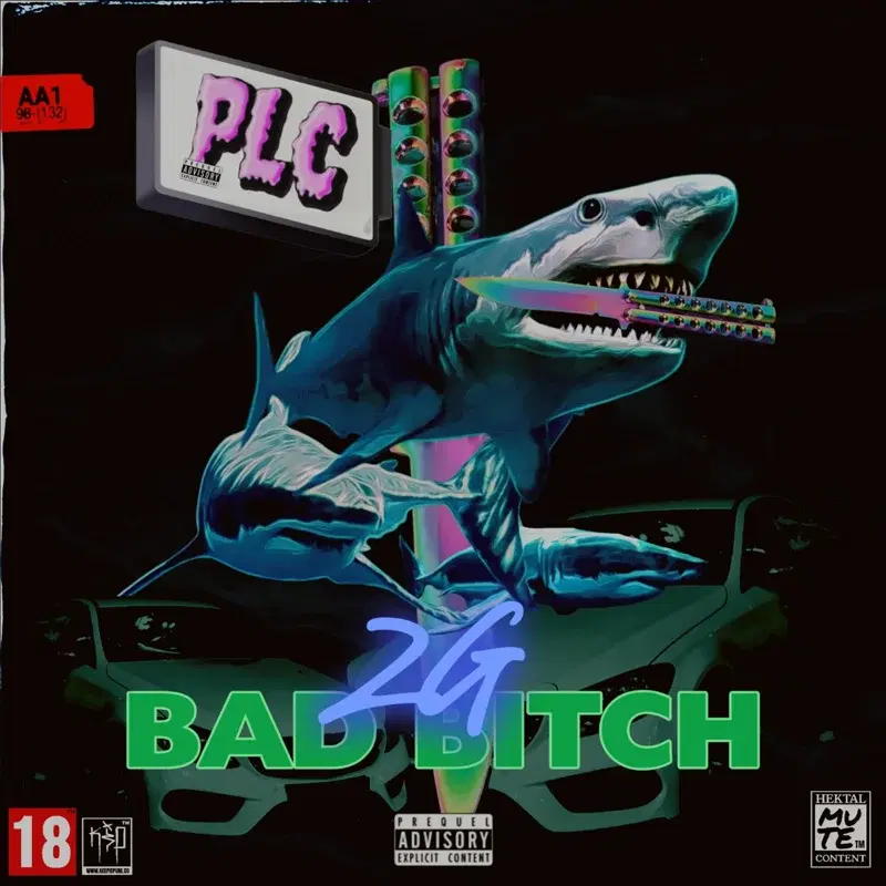 Cover Art