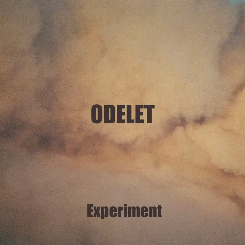 Experiment