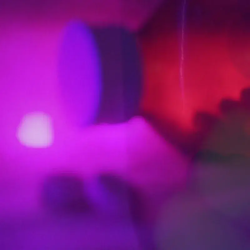 PINK MOLLY