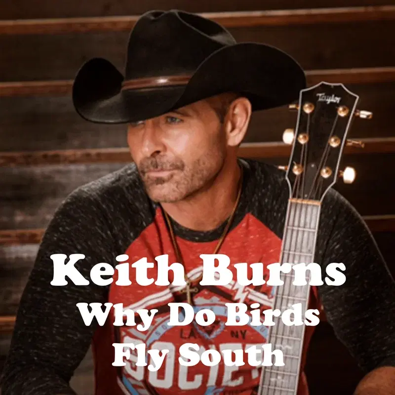 Why Do Birds Fly South