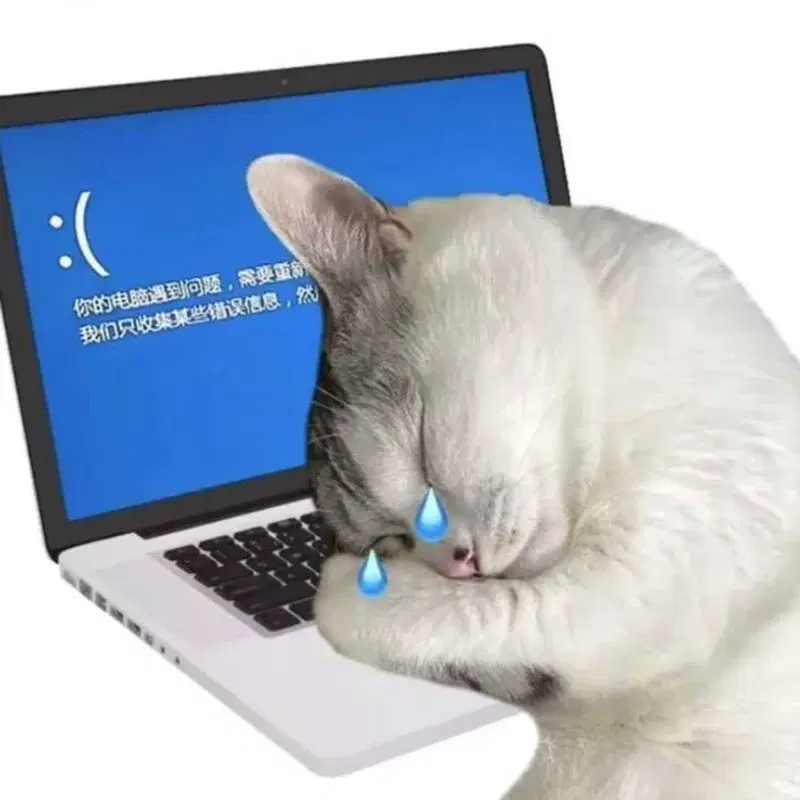 tu gatita