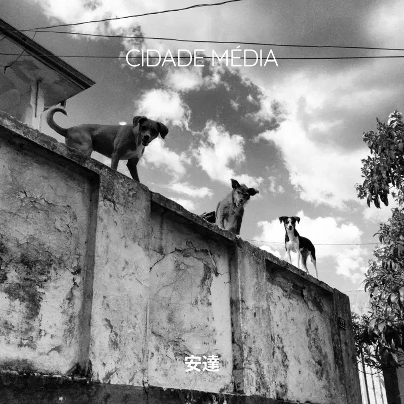 Cover Art