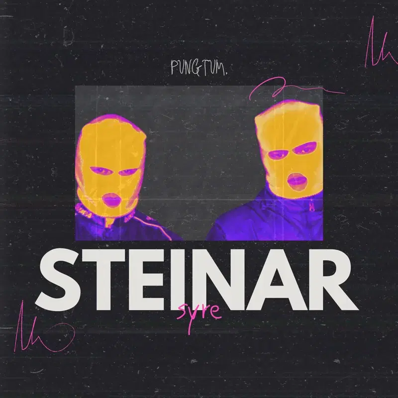 Steinar