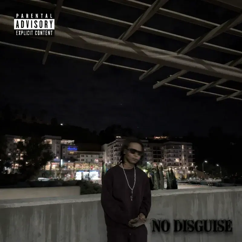 No Disguise