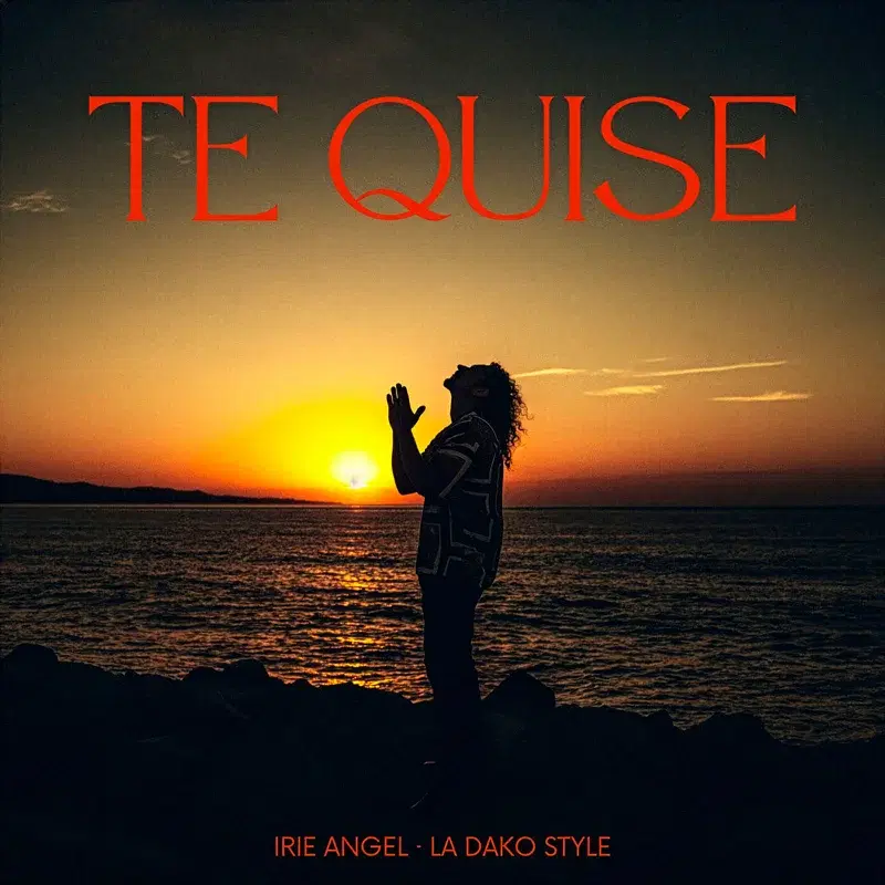 Te Quise