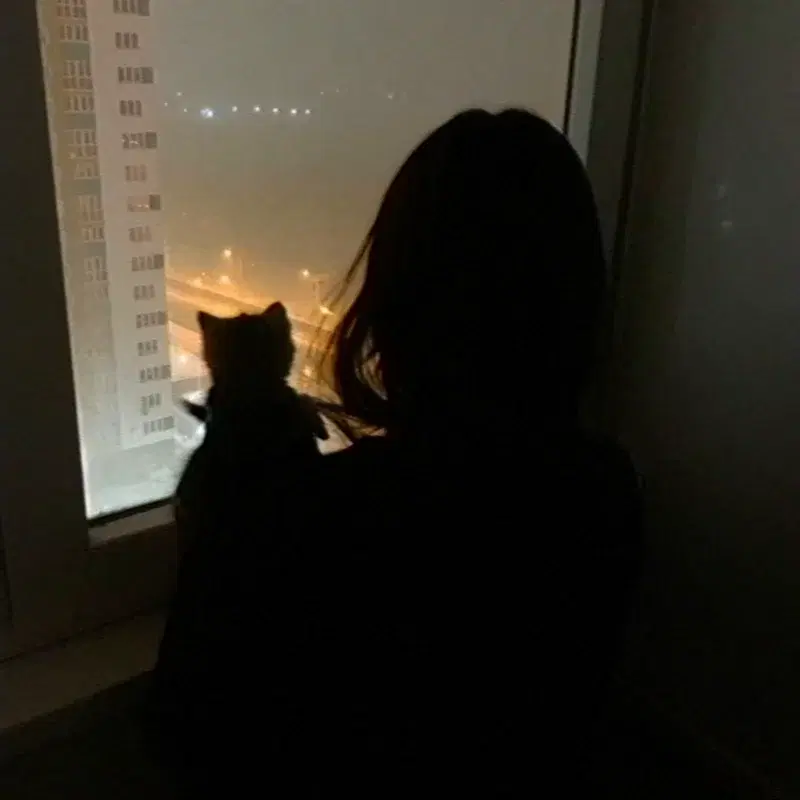 final dawn