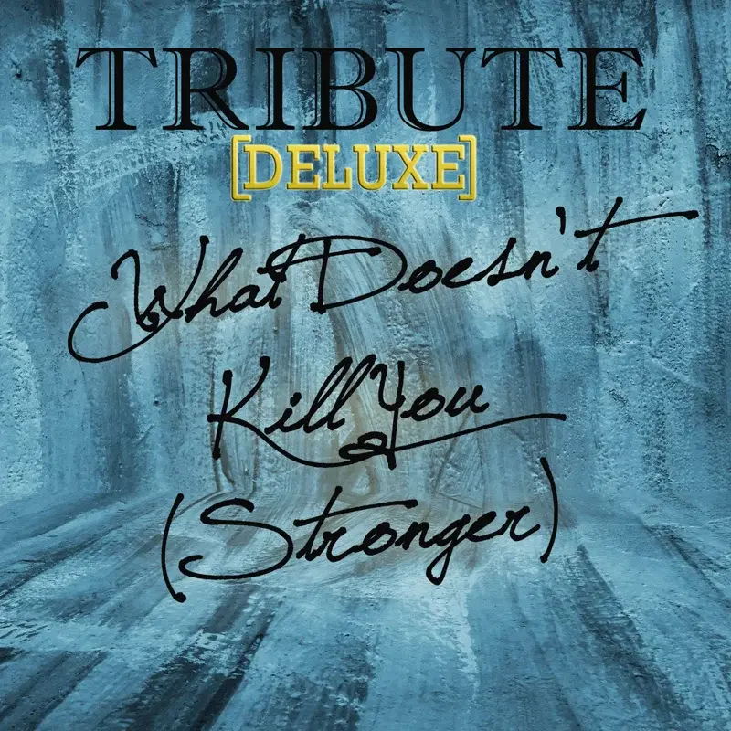 What Doesn't Kill You (Stronger Kelly Clarkson Deluxe Tribute)