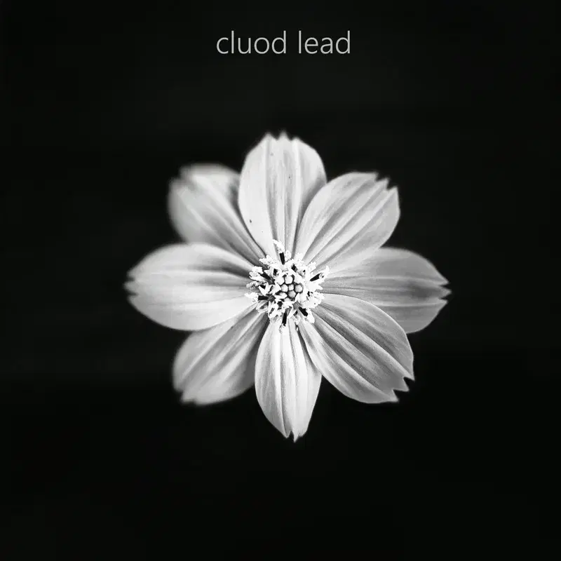 white flower
