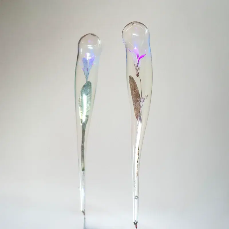 Is This Joy