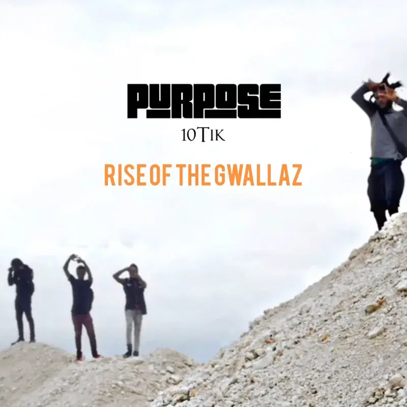 Purpose