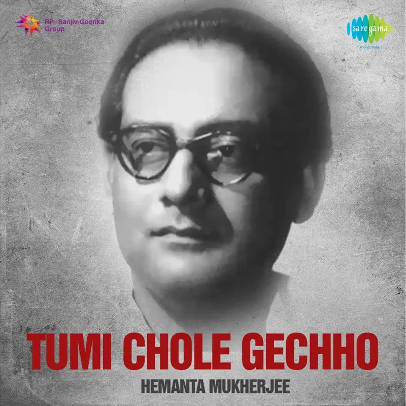 Tumi Chole Gechho