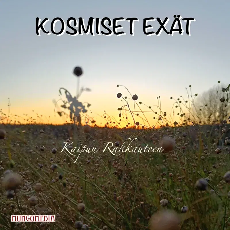 Kaipuu rakkauteen