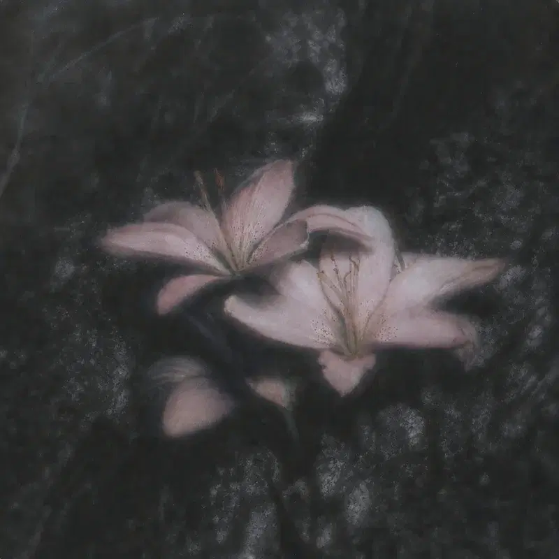 a touch of hope
