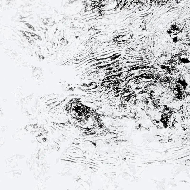ego-system