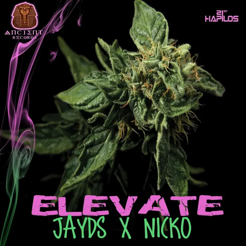 Elevate