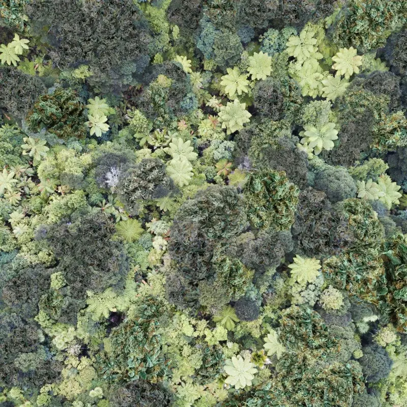 Trees