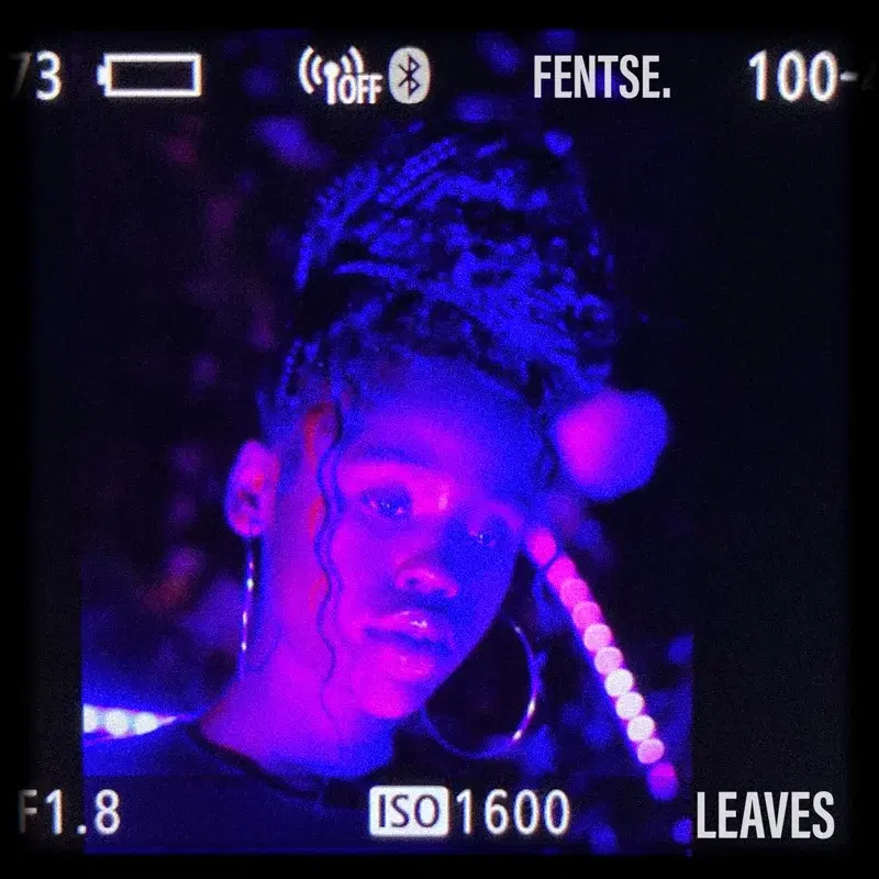 Leaves.