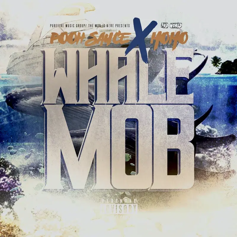 Whale Mob