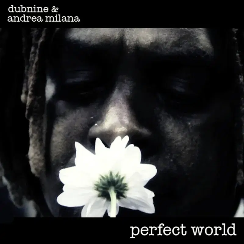 Perfect World