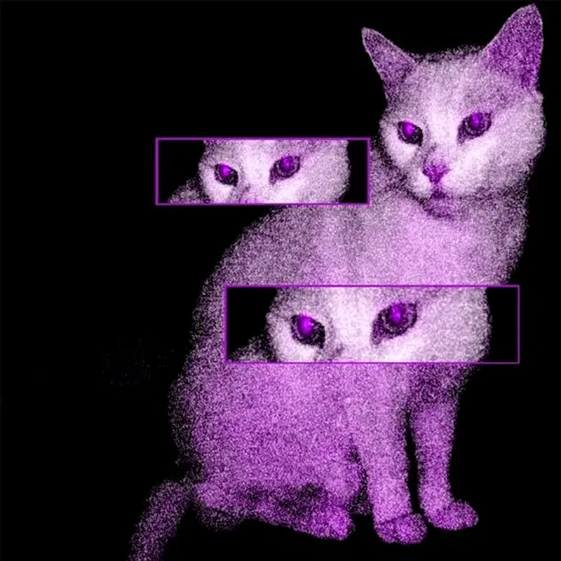 ensnare