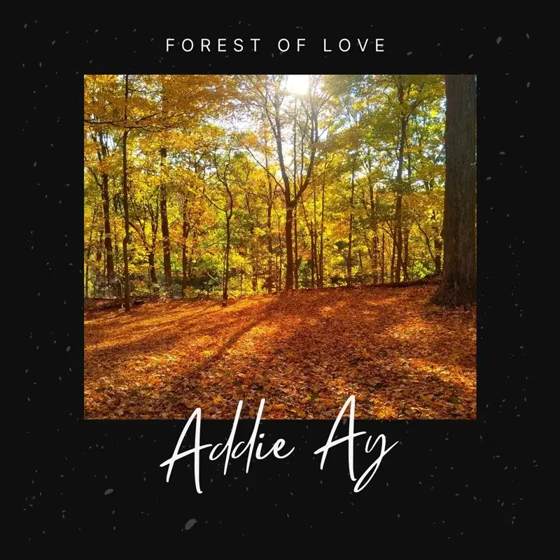 Forest Of Love