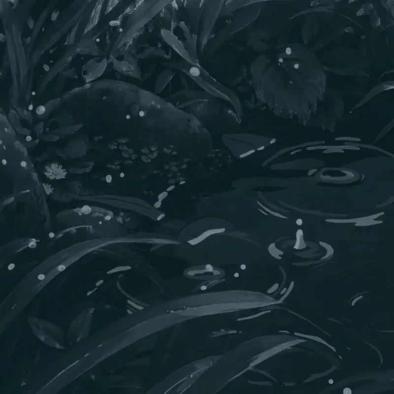 Rainy lofi