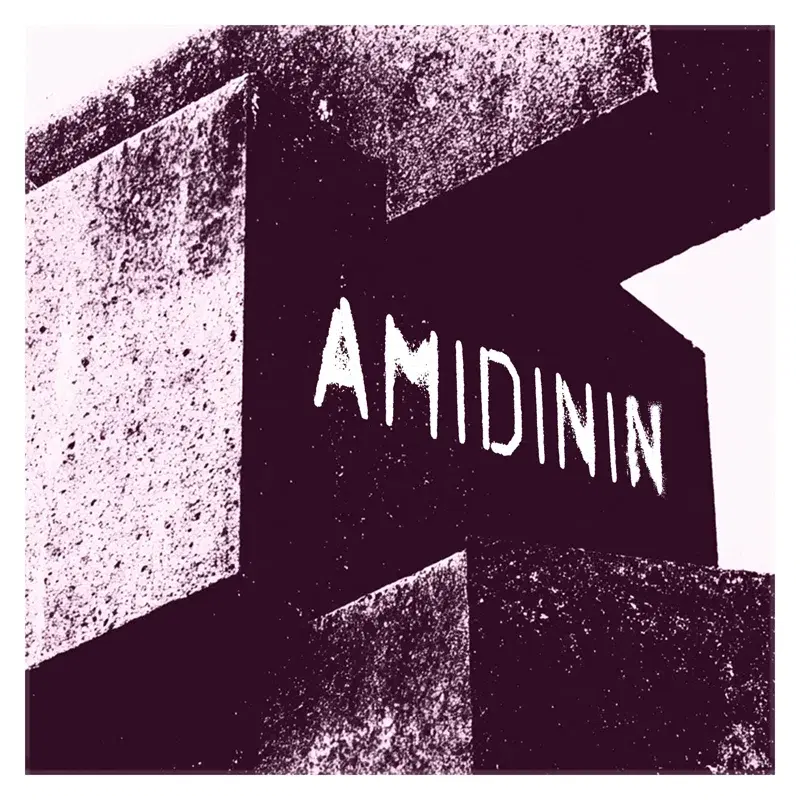 Amidinin