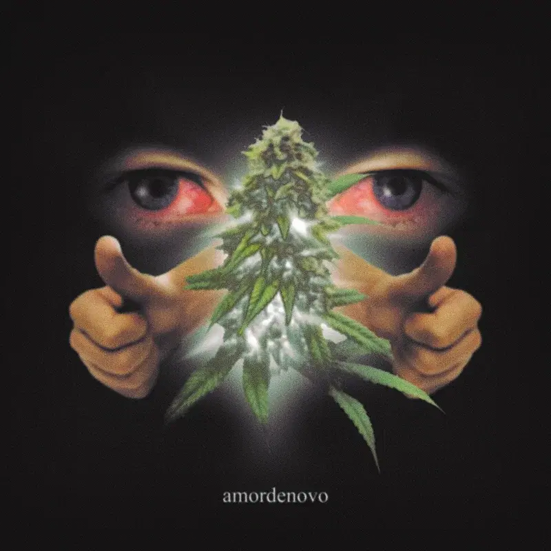 amordenovo