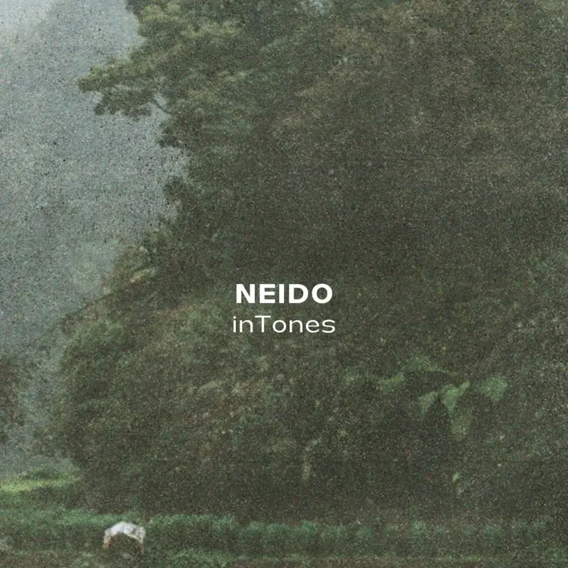 Neido