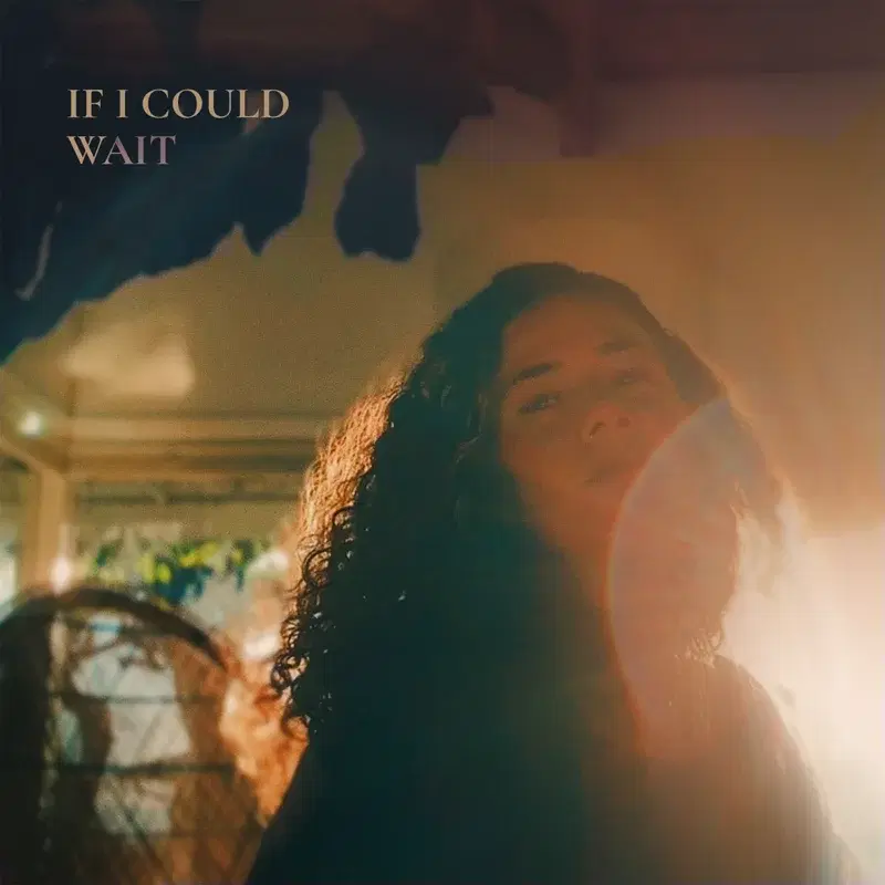 If I Could Wait