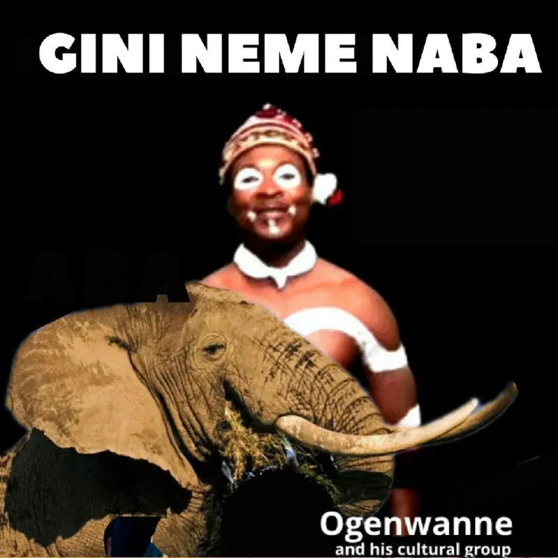 GINI NEME NABA