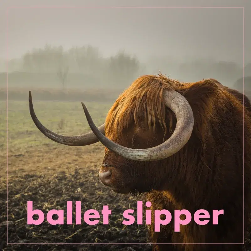 Ballet slipper