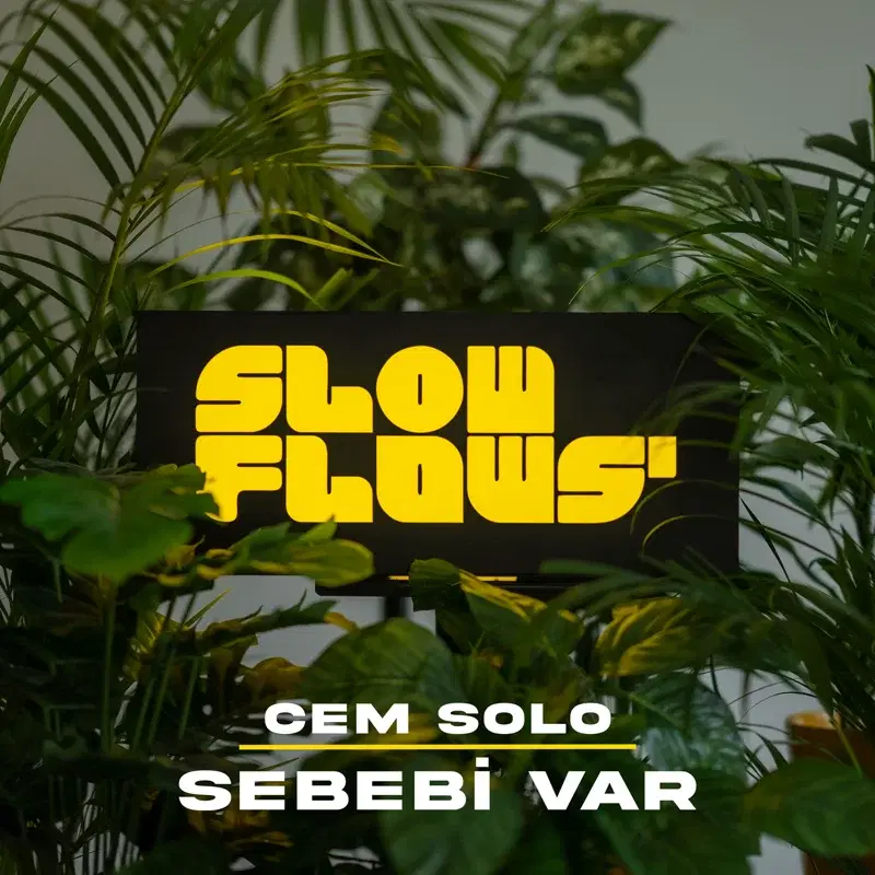 Sebebi Var