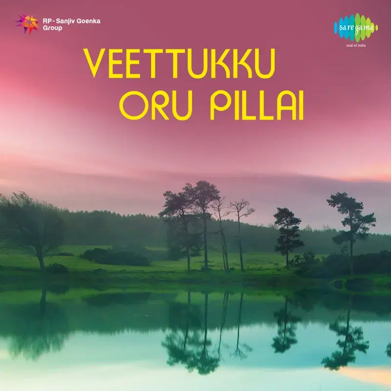 Veettukku Oru Pillai (Original Motion Picture Soundtrack)