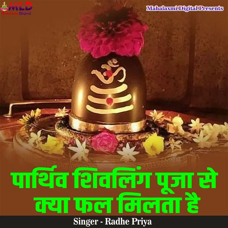 Parthiv Shivling Puja Se Kya Fal Milta Hai