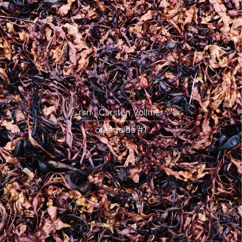 organoids #1