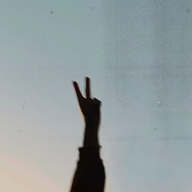 Peace Signs