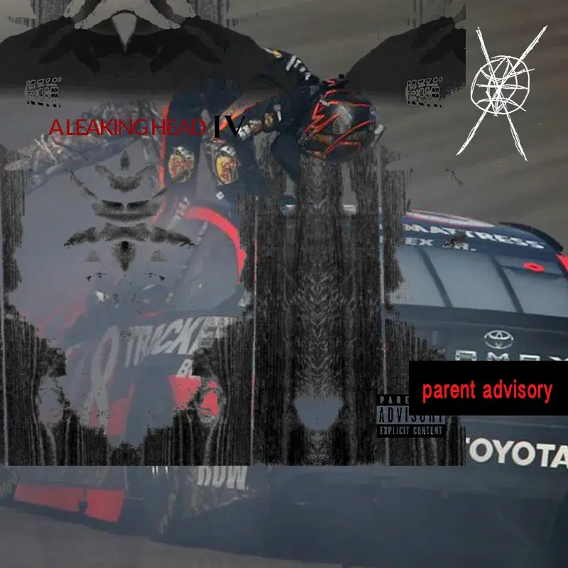 Bigbeltednascar
