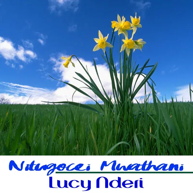 Nitugocei Mwathani