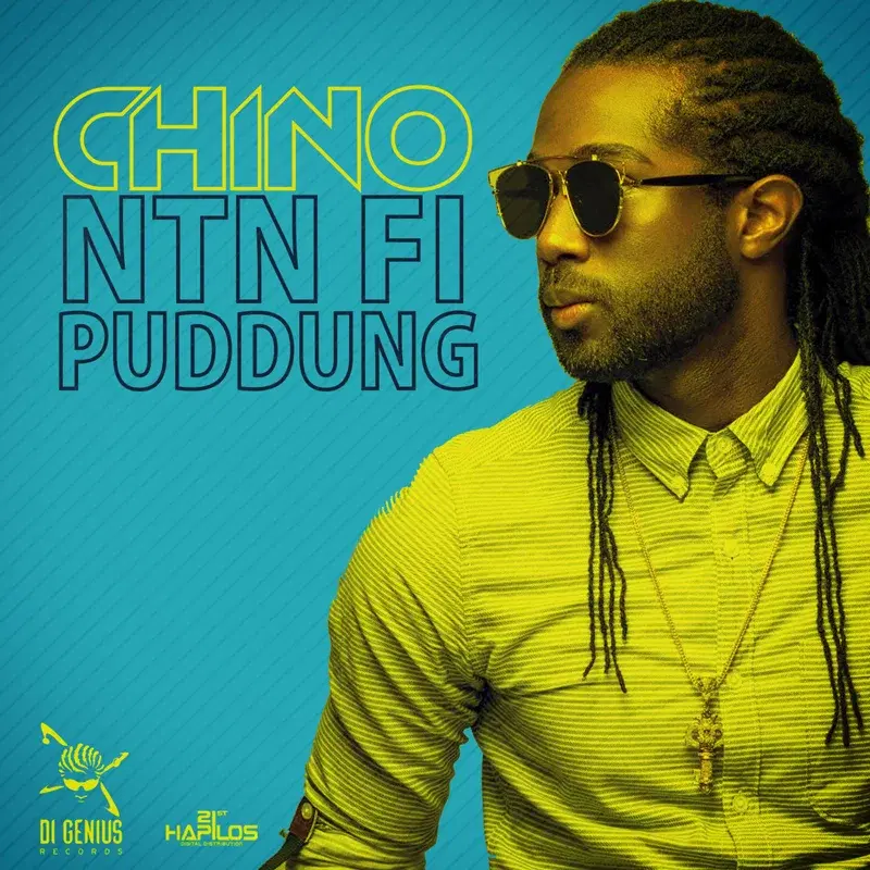 Ntn Fi Puddung