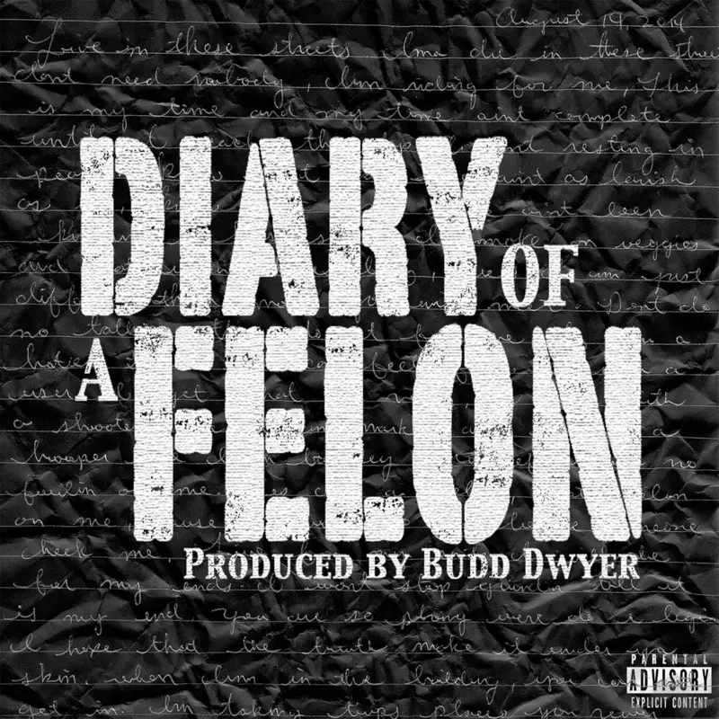 Diary of a Felon