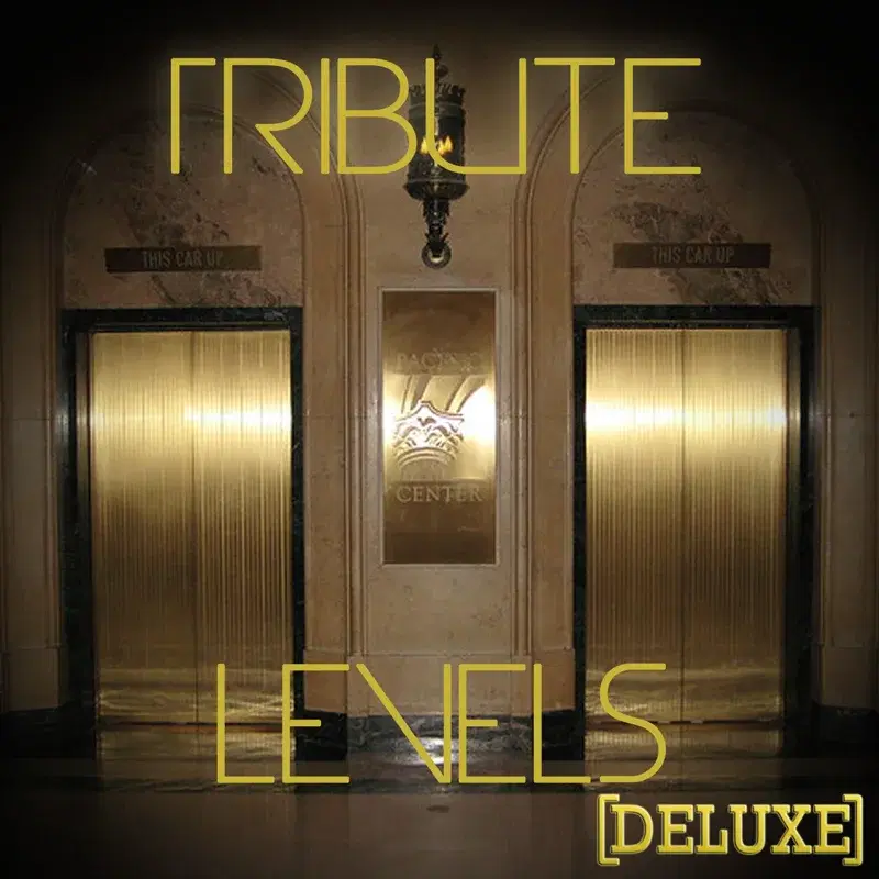 Levels (Avicii Deluxe Tribute) - Single