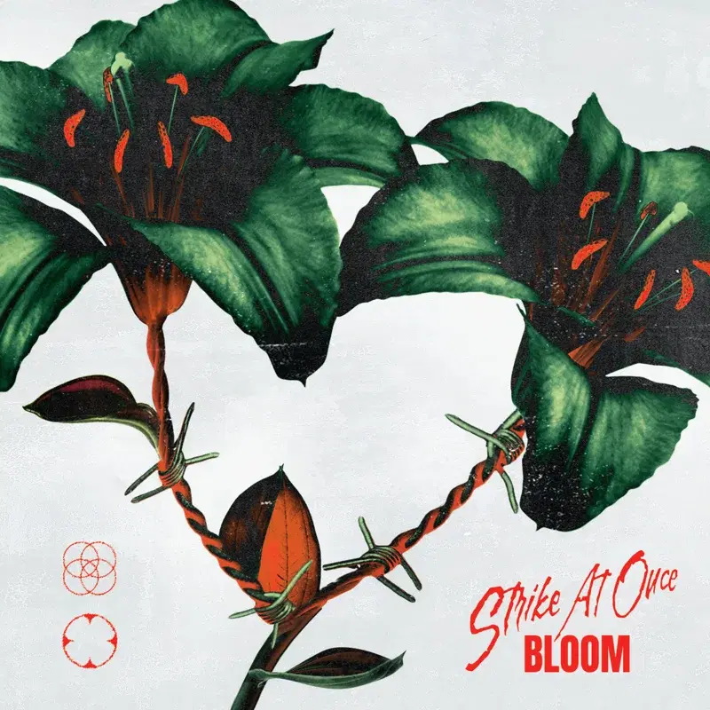Bloom